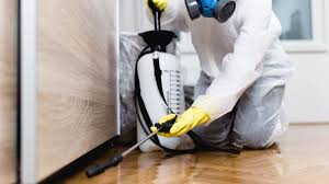 Best Residential Pest Control  in Juneau, AK